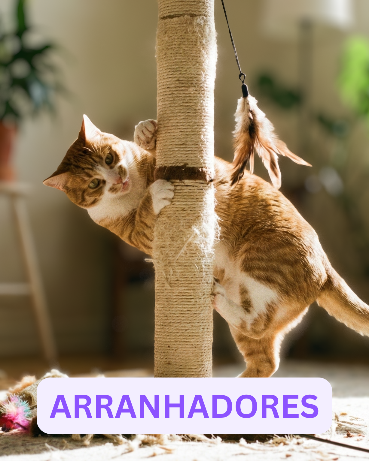 Arranhadores