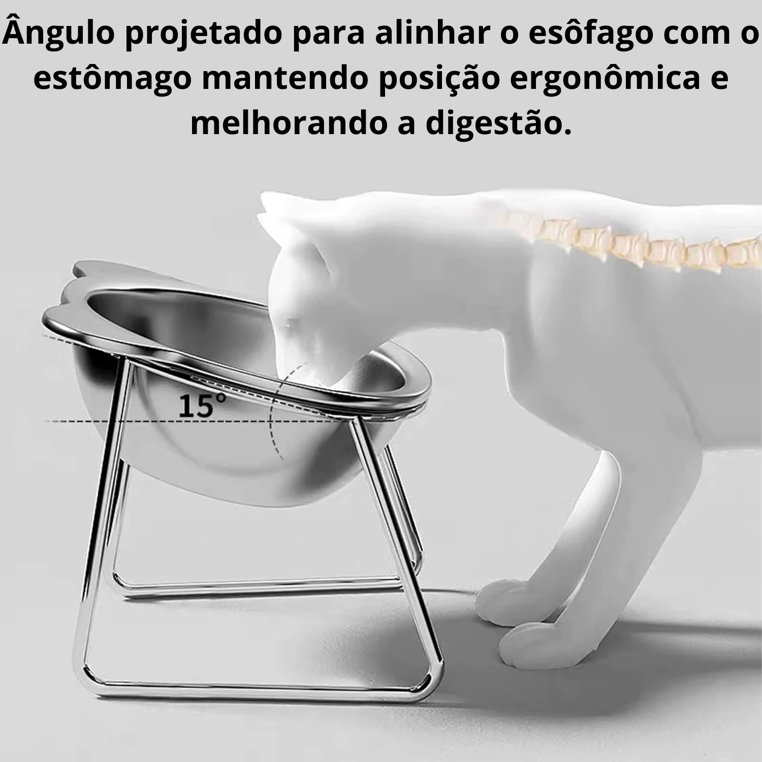 💎 Frete Grátis!! Tigela Ergonômica Inclinada (15°): Aço Inoxidável 304 para a Saúde do Seu Gato!