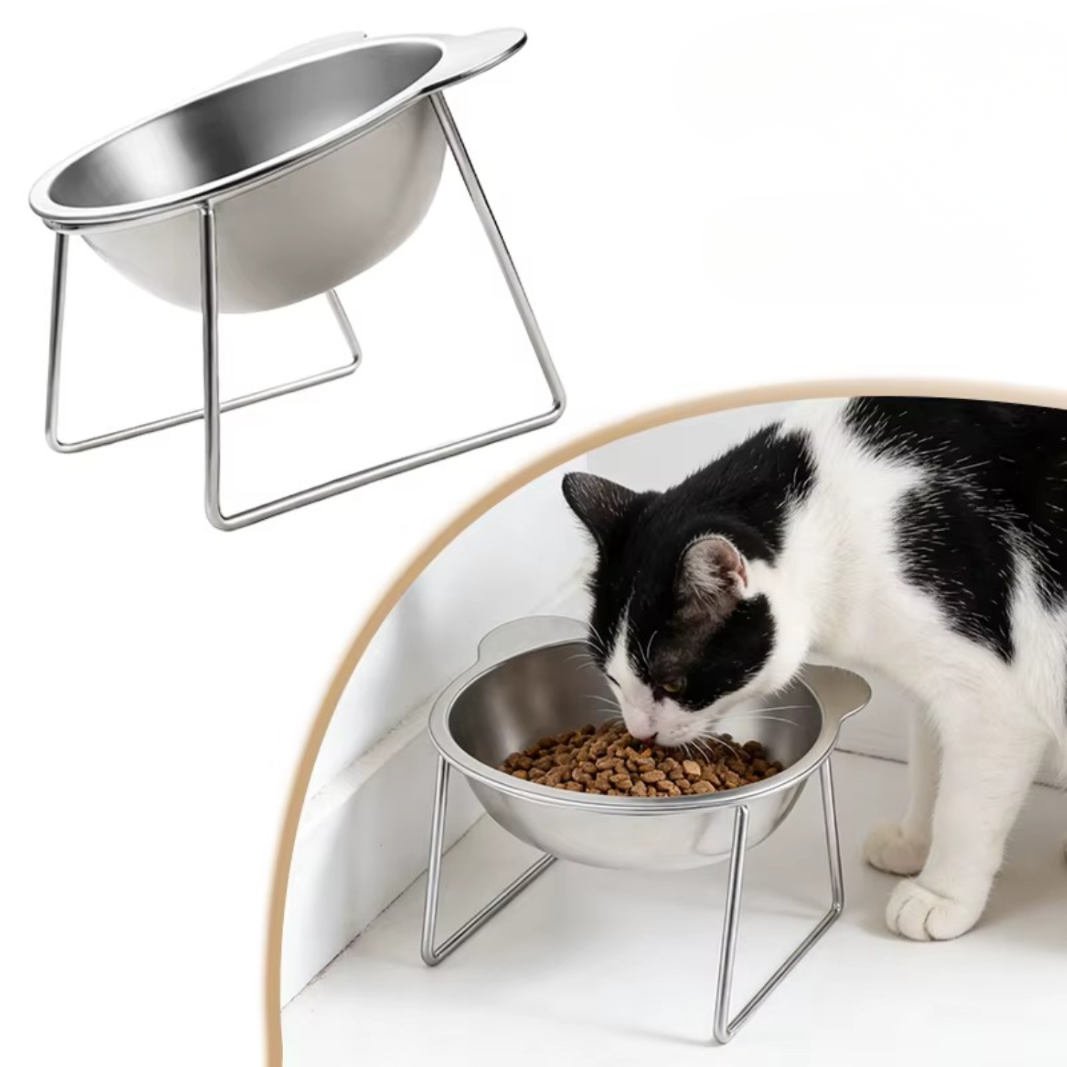 💎 Frete Grátis!! Tigela Ergonômica Inclinada (15°): Aço Inoxidável 304 para a Saúde do Seu Gato!