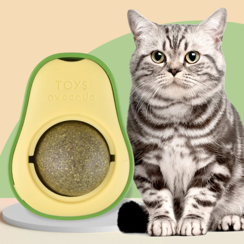 🌿 Bola de Catnip Natural 2 em 1: Adesiva de Parede, Giratória e Limpeza de Dentes para Gatos!