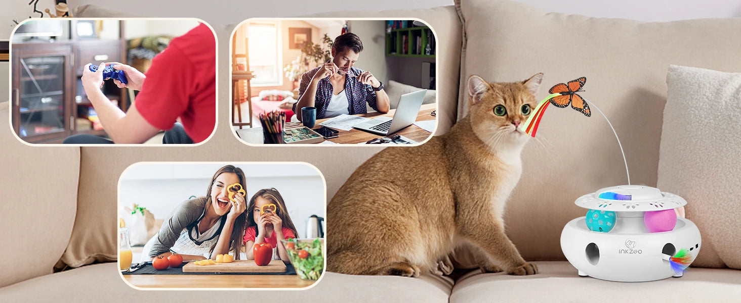 🕹️Bate-Rato Automático, Borboleta e Pista – Centro de Entretenimento USB para Gatos!