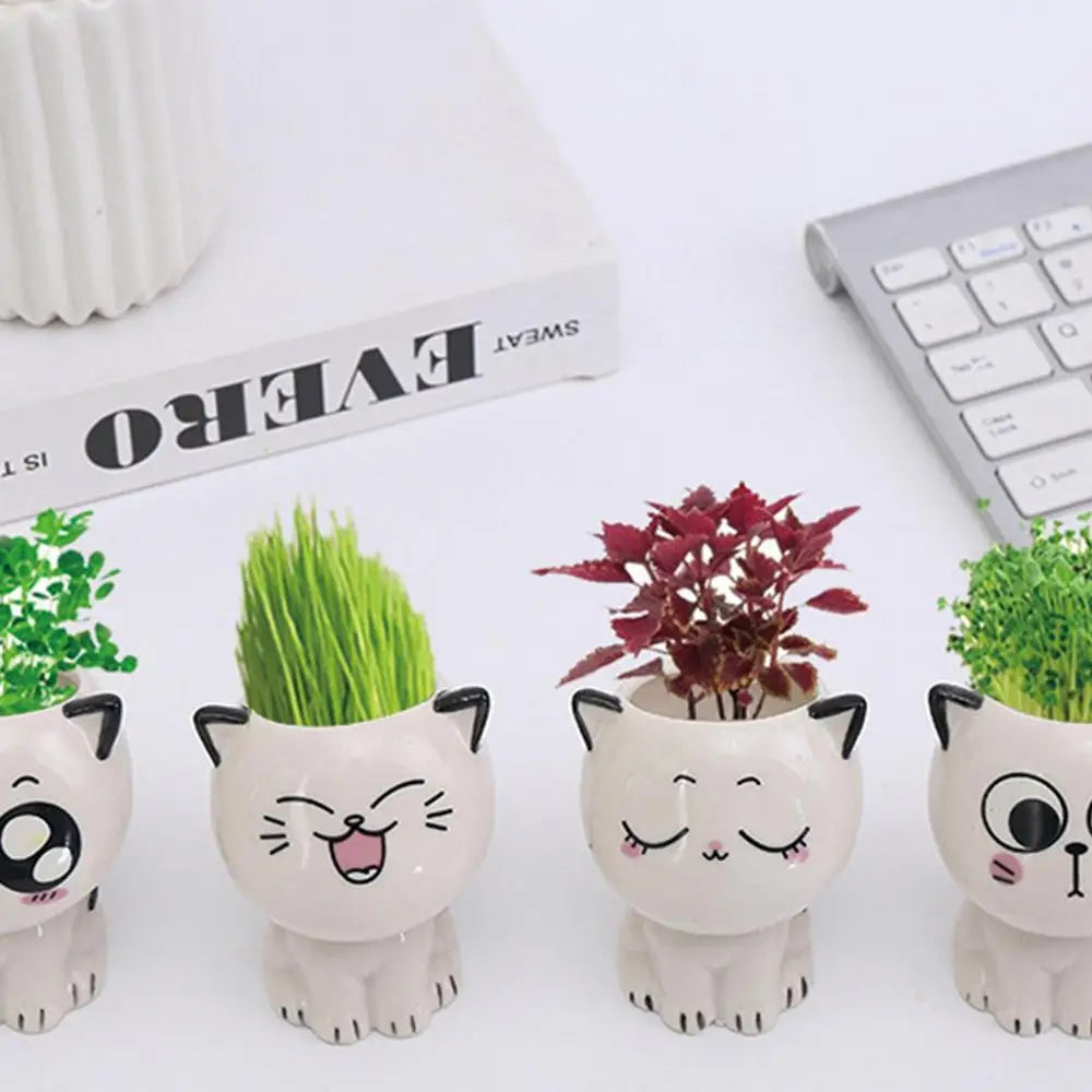 🪴 Vaso de Cerâmica Gatinho Cartoon Mini: Fofura Kawaii para Suculentas e Decoração!