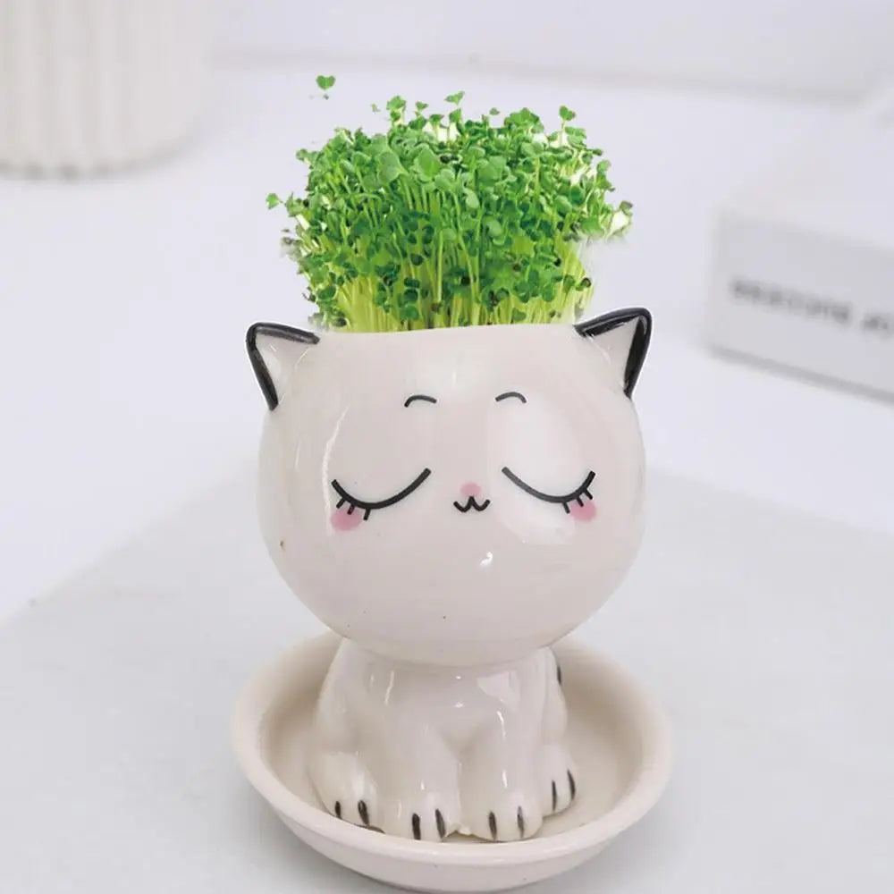 🪴 Vaso de Cerâmica Gatinho Cartoon Mini: Fofura Kawaii para Suculentas e Decoração!