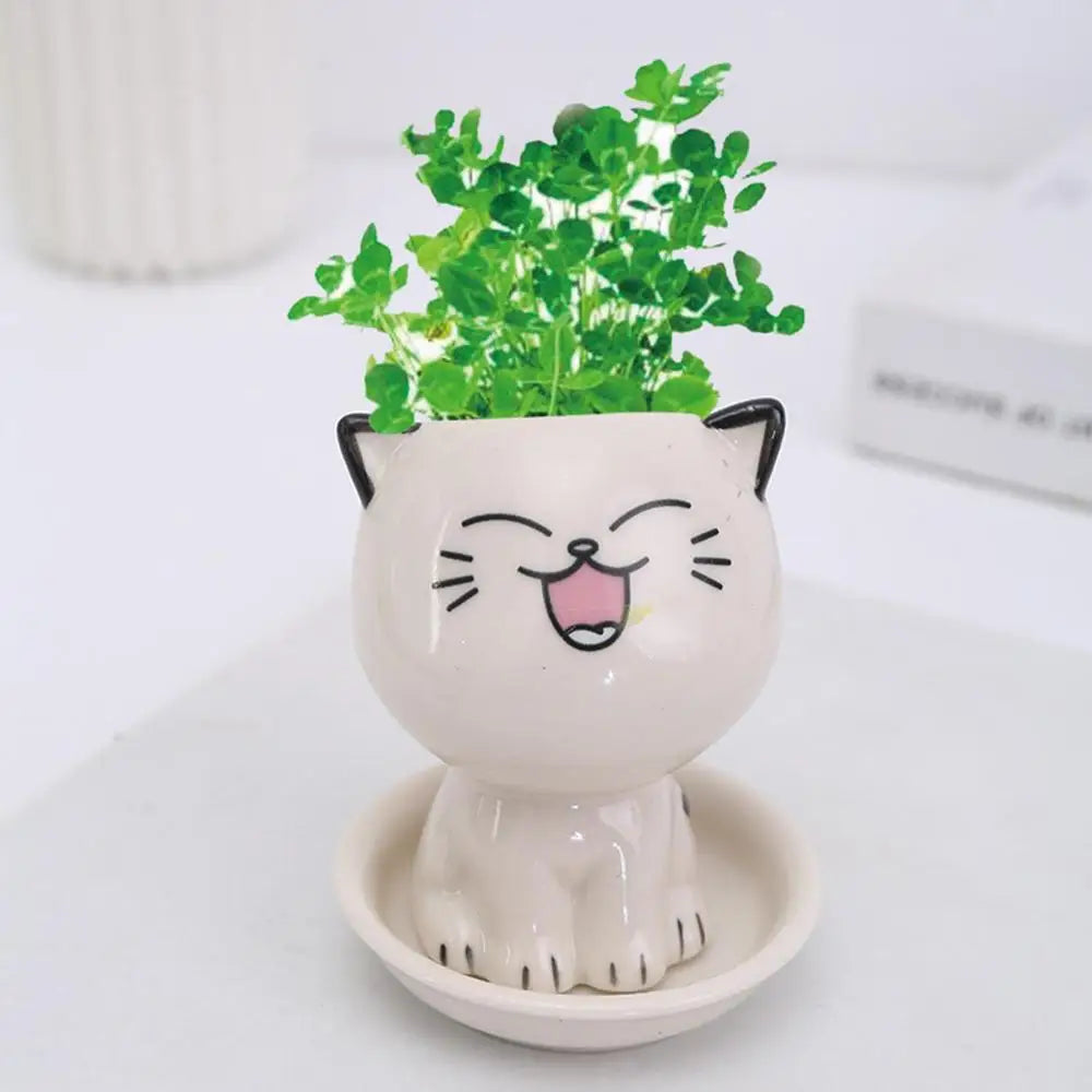 🪴 Vaso de Cerâmica Gatinho Cartoon Mini: Fofura Kawaii para Suculentas e Decoração!