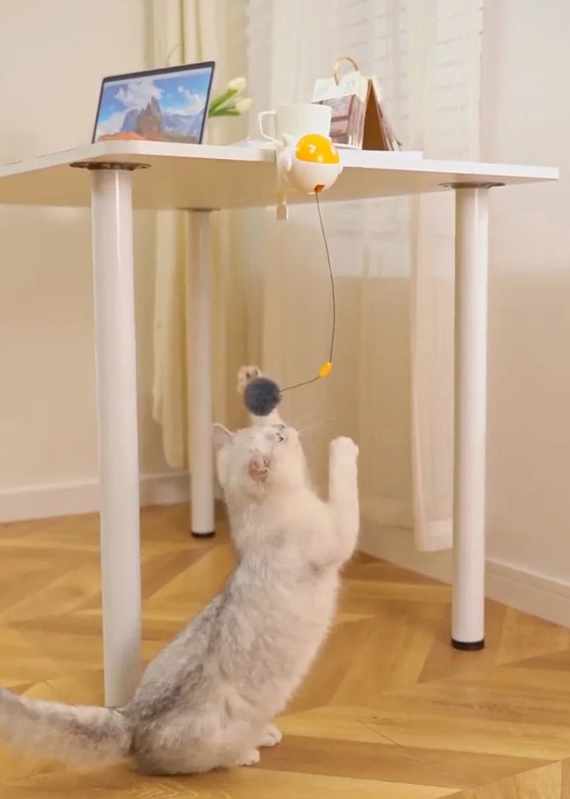 🚀 Brinquedo Automático Bola Suspensa Smart: Levantamento Elétrico Interativo para Gatos!