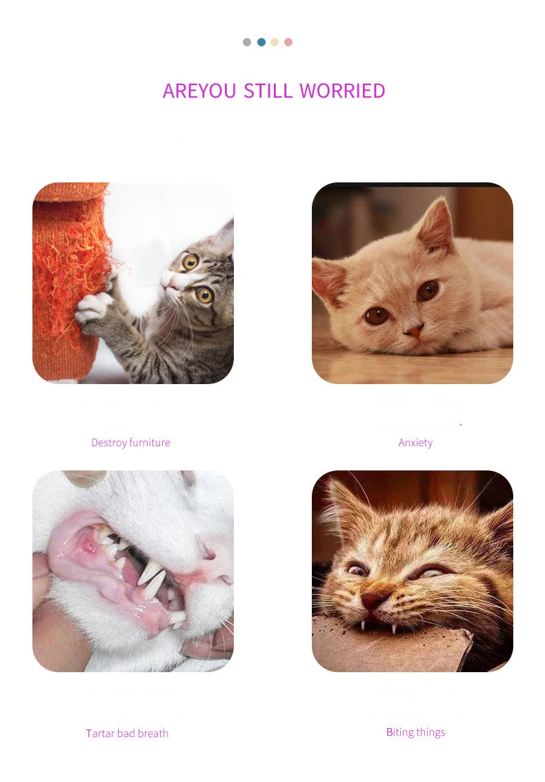 🐙 Brinquedo Polvo de Pelúcia com Catnip: Resistente, Interativo e Cheio de Diversão Marinha!