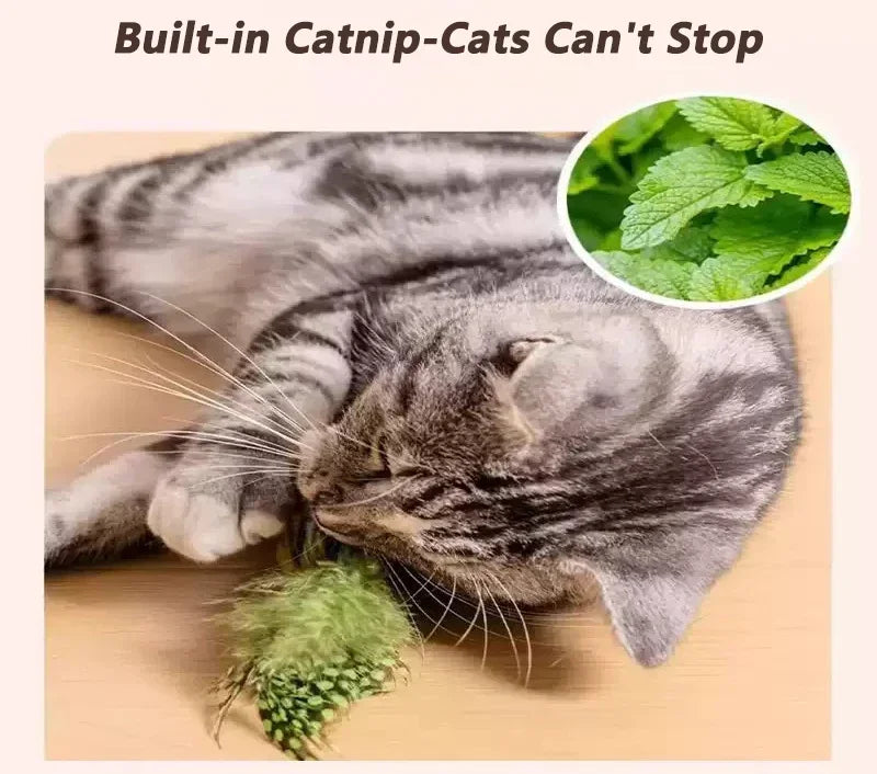 🐦 Pássaro Interativo de Pendurar: Brinquedo com Som e Catnip para Gatos – Caça e Auto-Entretenimento!