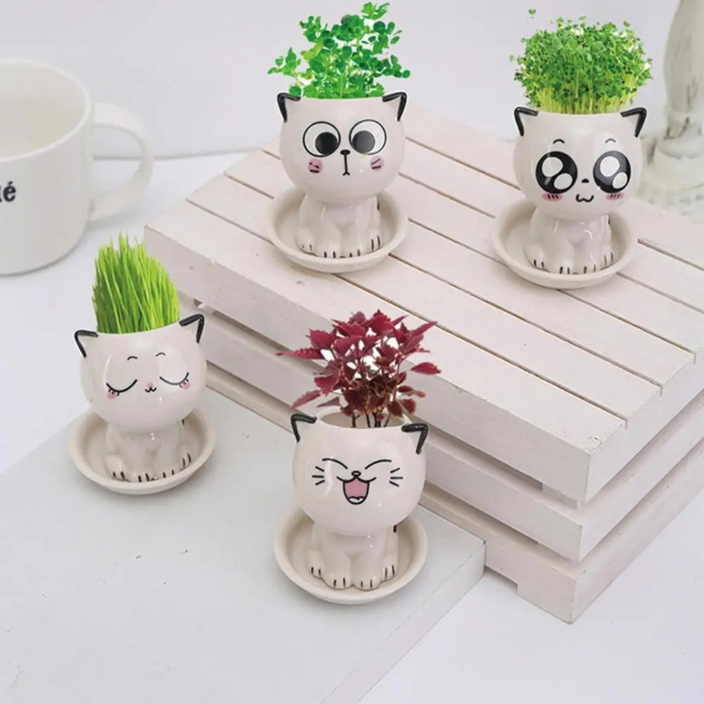 🪴 Vaso de Cerâmica Gatinho Cartoon Mini: Fofura Kawaii para Suculentas e Decoração!