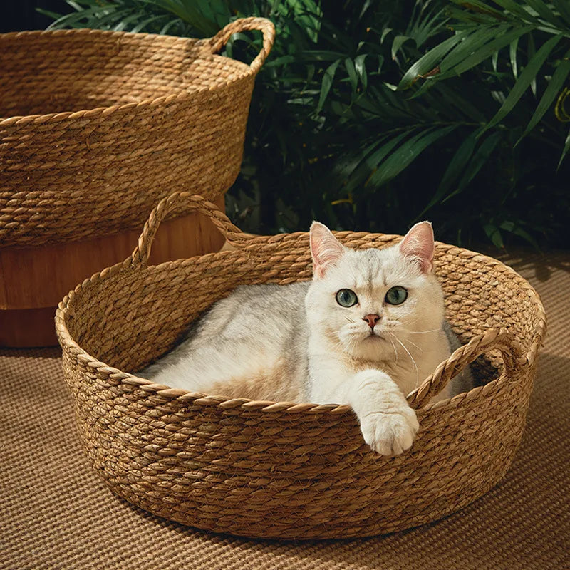 🧺 Cama estilo Cesto: Conforto Trançado e Frescor Natural para o Verão do Seu Gato!