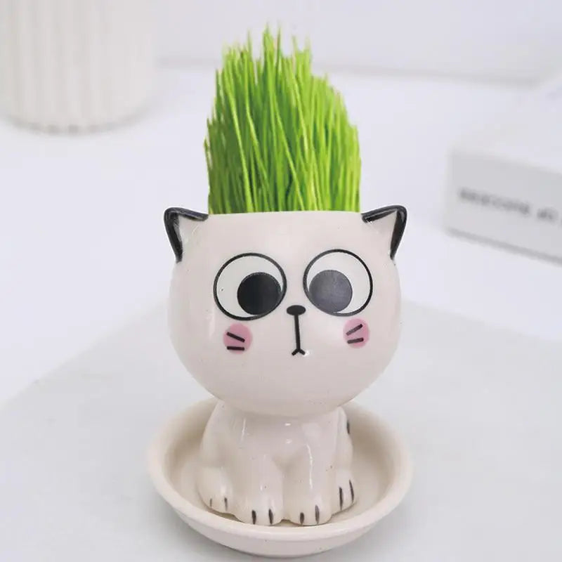 🪴 Vaso de Cerâmica Gatinho Cartoon Mini: Fofura Kawaii para Suculentas e Decoração!