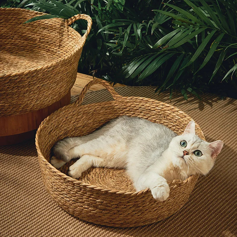 🧺 Cama estilo Cesto: Conforto Trançado e Frescor Natural para o Verão do Seu Gato!