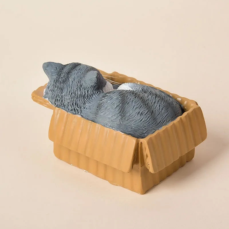 📦 Miniatura Decorativa Realista: Gatinho Aconchegante na Caixa – Toque de Carinho em Resina!