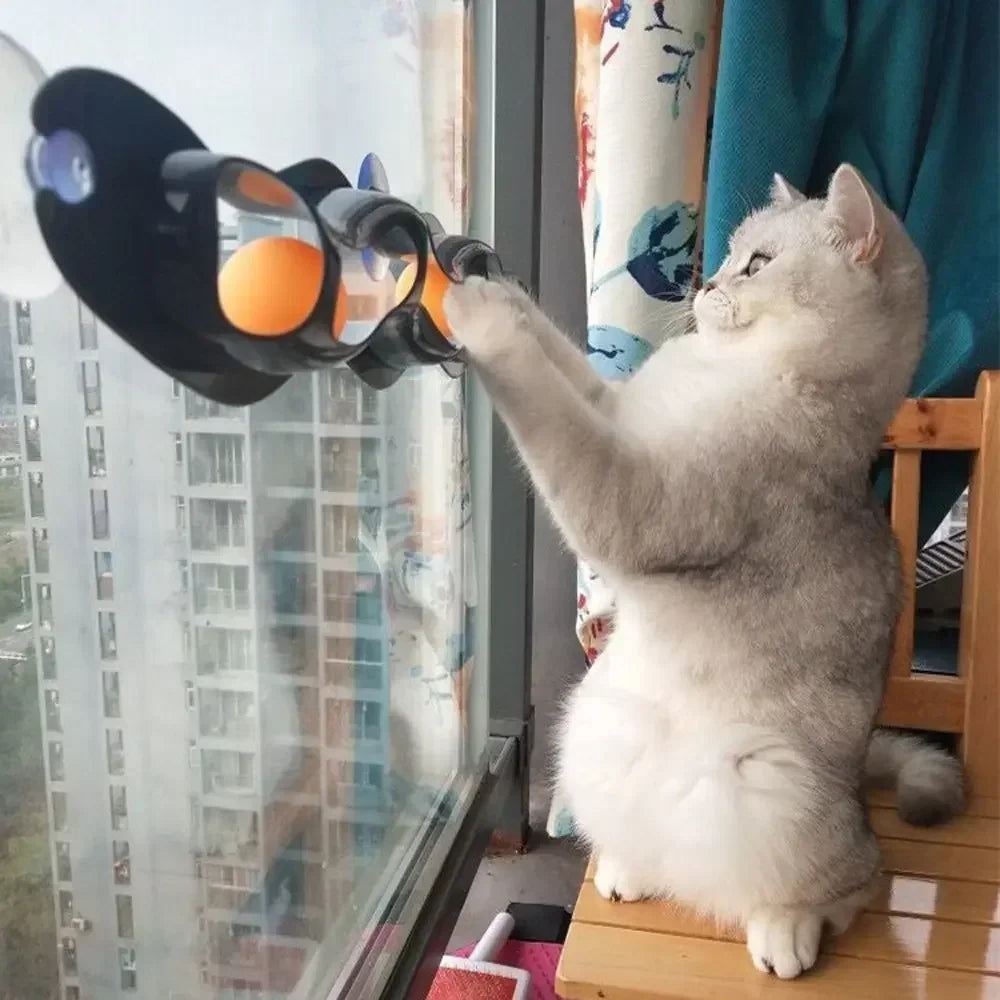 🎾 Brinquedo Gato em Pista (New Track): Bola de Trilho com Ventosas para Janelas e Mesas!