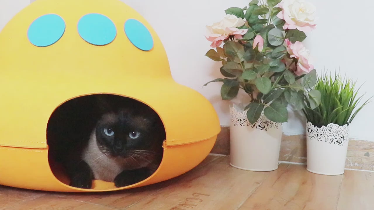 🕹️Bate-Rato Automático, Borboleta e Pista – Centro de Entretenimento USB para Gatos!