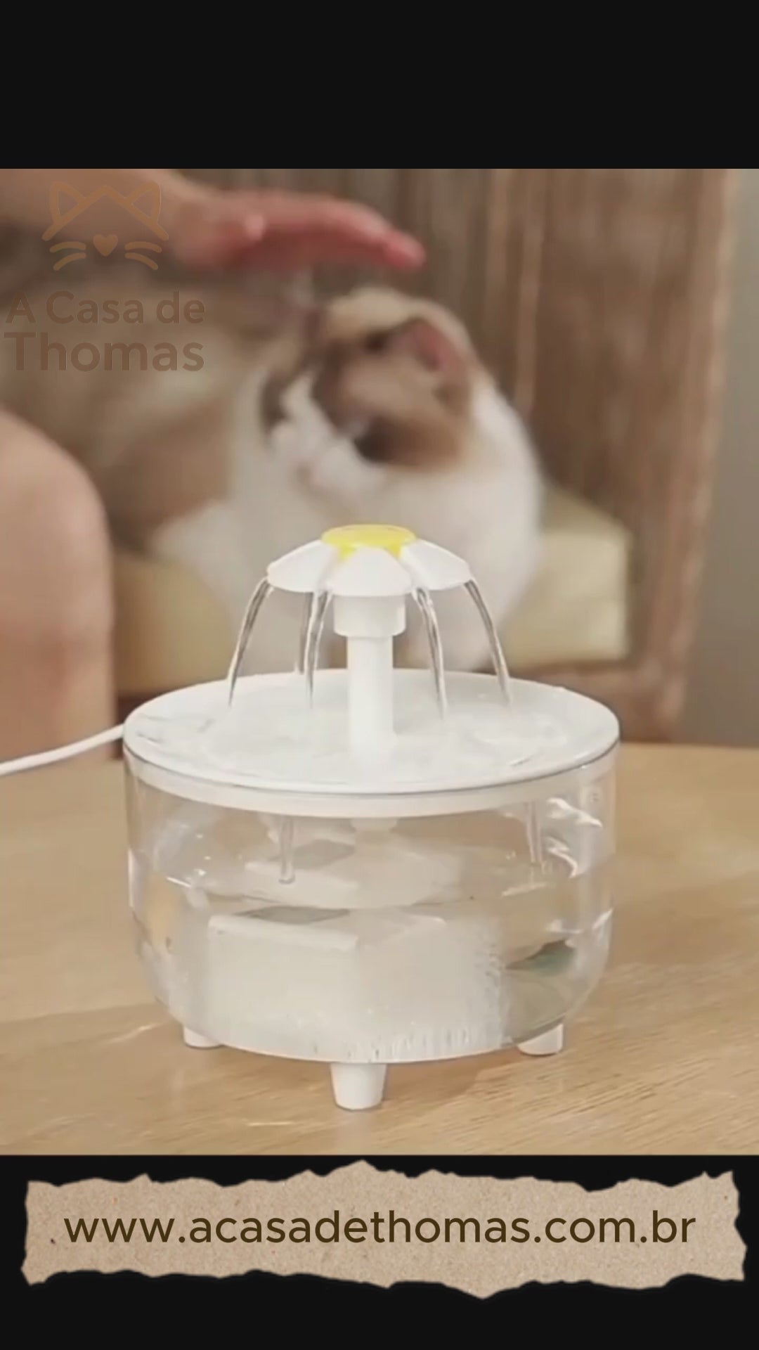 🤫 Fonte de Água Silenciosa USB 1.2L: Filtro de Recirculação para Gatos!