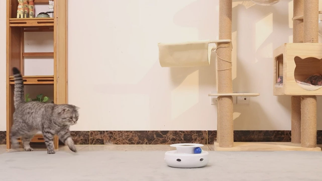 🚀 Kit com 5 Modos – Bola Divertida e Provocador Automático de Pena para Gatos e Cães!