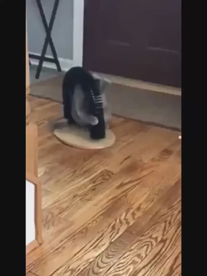 😻 Arco Massageador e Arranhador 2 em 1: Self Groomer para Gatos – Carinho e Escovação Automática!