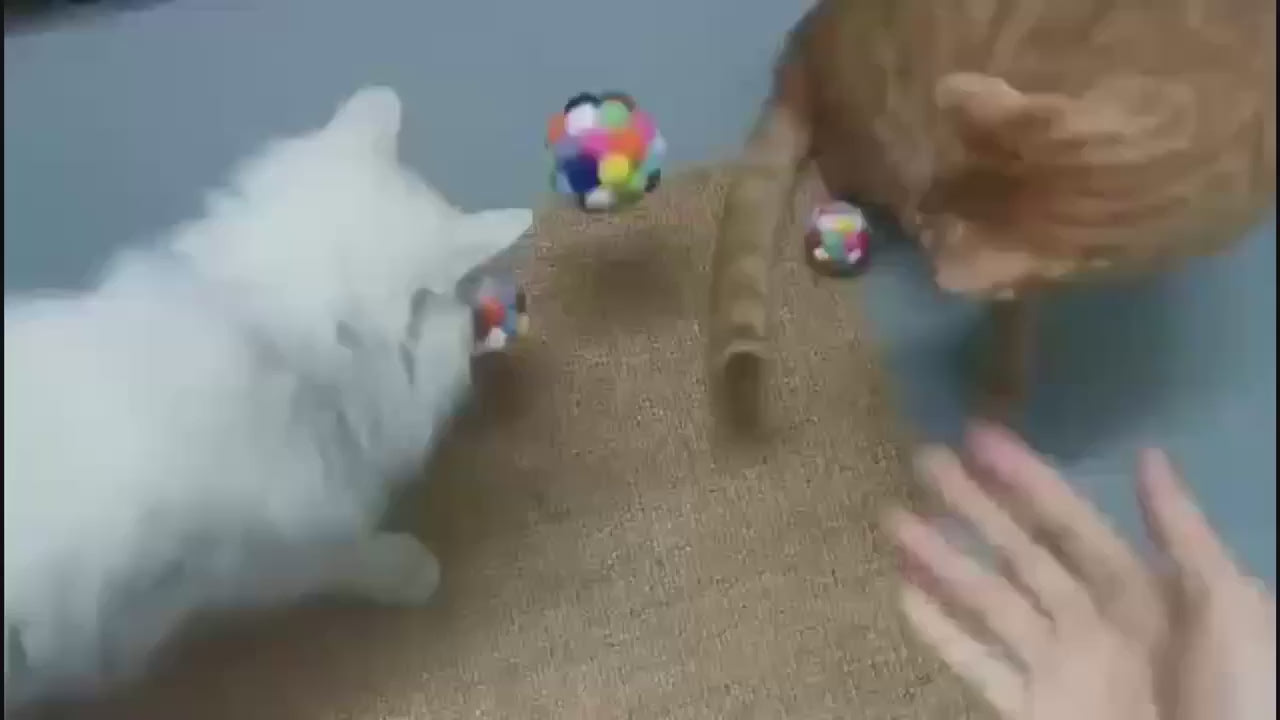 🧶 Kit Bolinhas de Pelúcia Coloridas: Elásticas, com Sino – Auto-Entretenimento para Gatos (1 ou 3 Peças)!